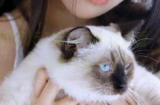 51吃瓜网地址真香，我的每日八卦就靠你了！