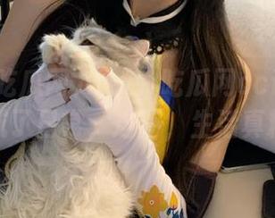 www吃瓜网cc让我的瓜分享成了日常,这不,生活真精彩!
