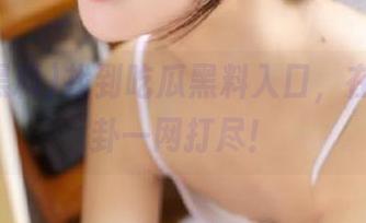 找到吃瓜黑料入口，在线把八卦一网打尽！