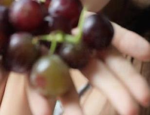 zzzttt黑料不打烊首页上VIP神秘嘉宾送你意想不到的瓜!