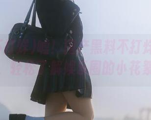 嘘！国产黑料不打烊苹果版，轻松了解娱乐圈的小花絮
