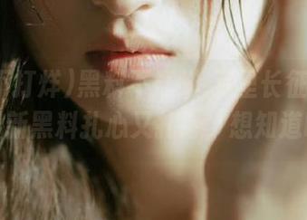 黑料不打烊,万里长征苹果版：最新黑料扎心又扎胃，想知道吗？