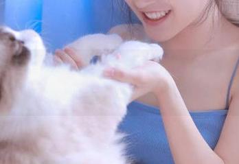 黑料网下载推荐:让瓜田一路畅通,永不迷路,谁能留得住!